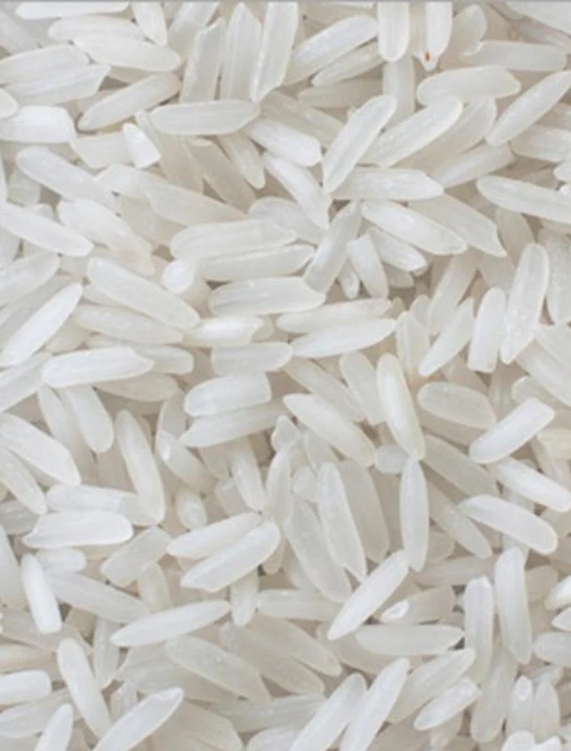IR 36 Rice